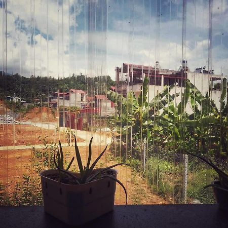 Homie Hostel & Tour 河江 外观 照片